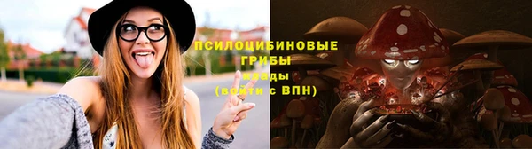 2c-b Алзамай