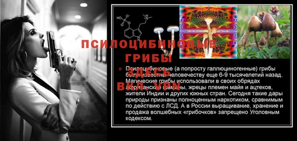 тгк Семилуки