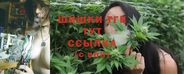 2c-b Алзамай