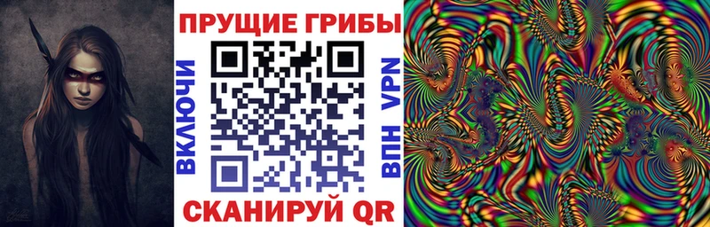 Галлюциногенные грибы прущие грибы ссылка на мегу вход Данков